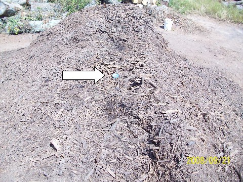 Composting 003 Medium Web view.jpg